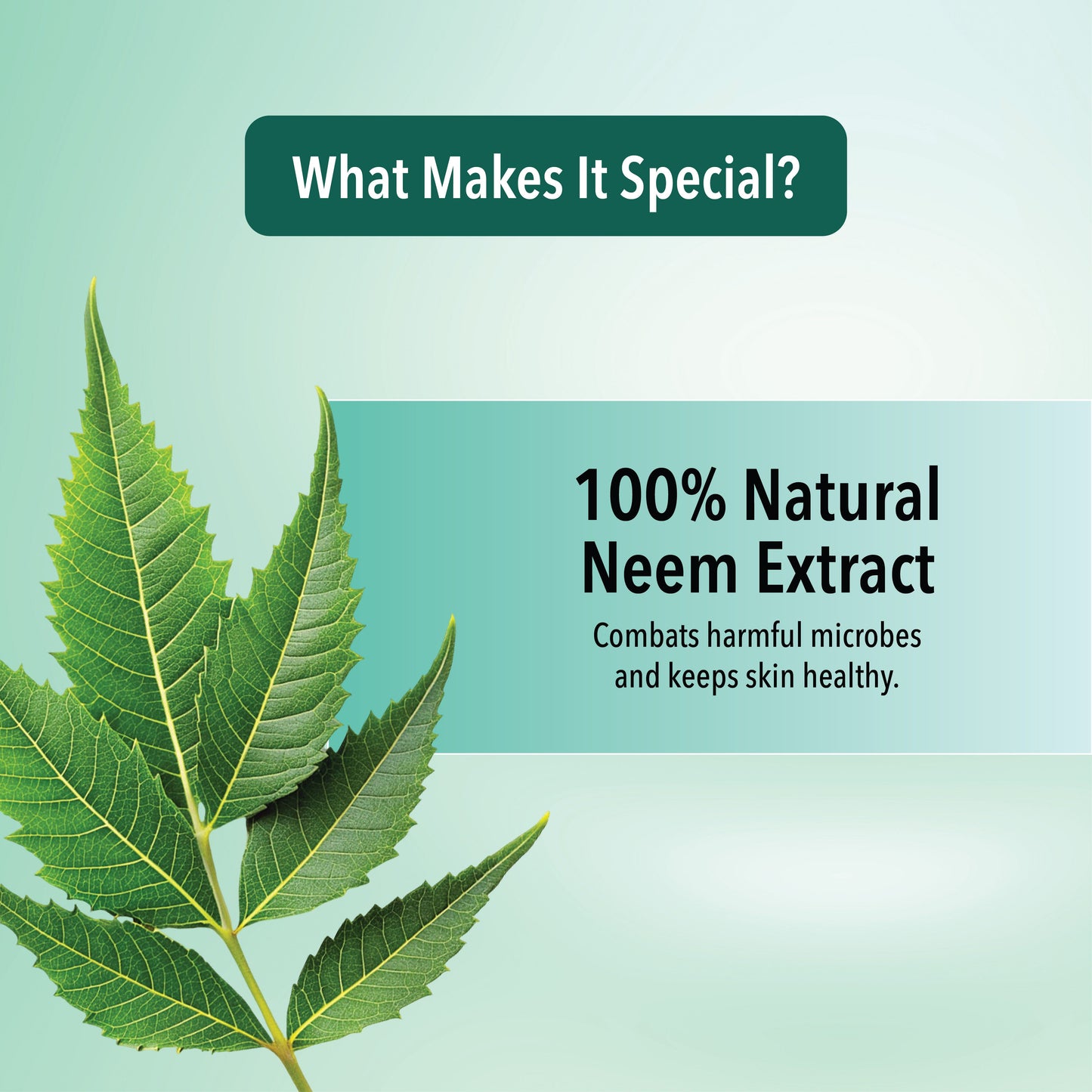 Neem Fresh Face Wash - 100 Ml