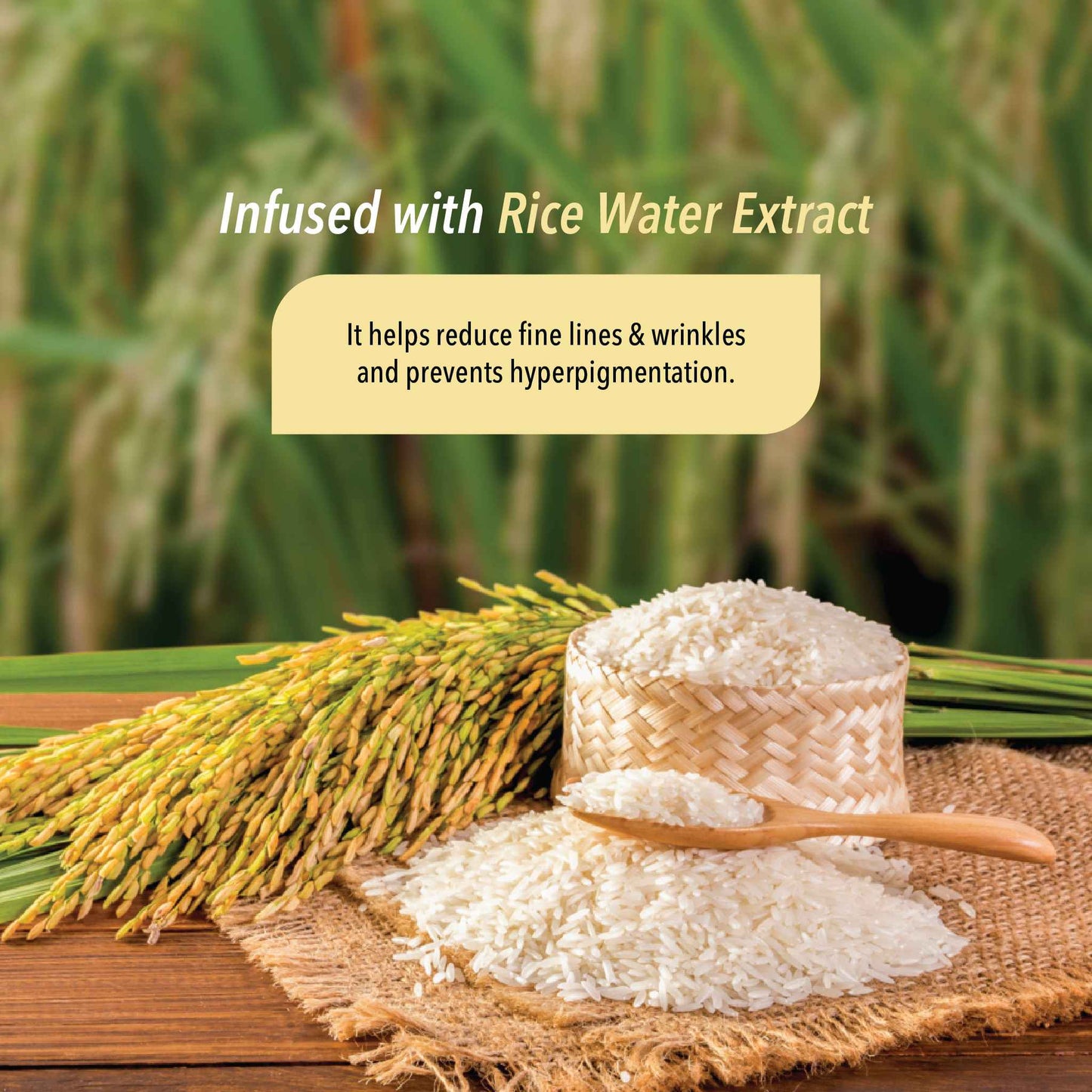 Rice Water Day Cream Ingredients