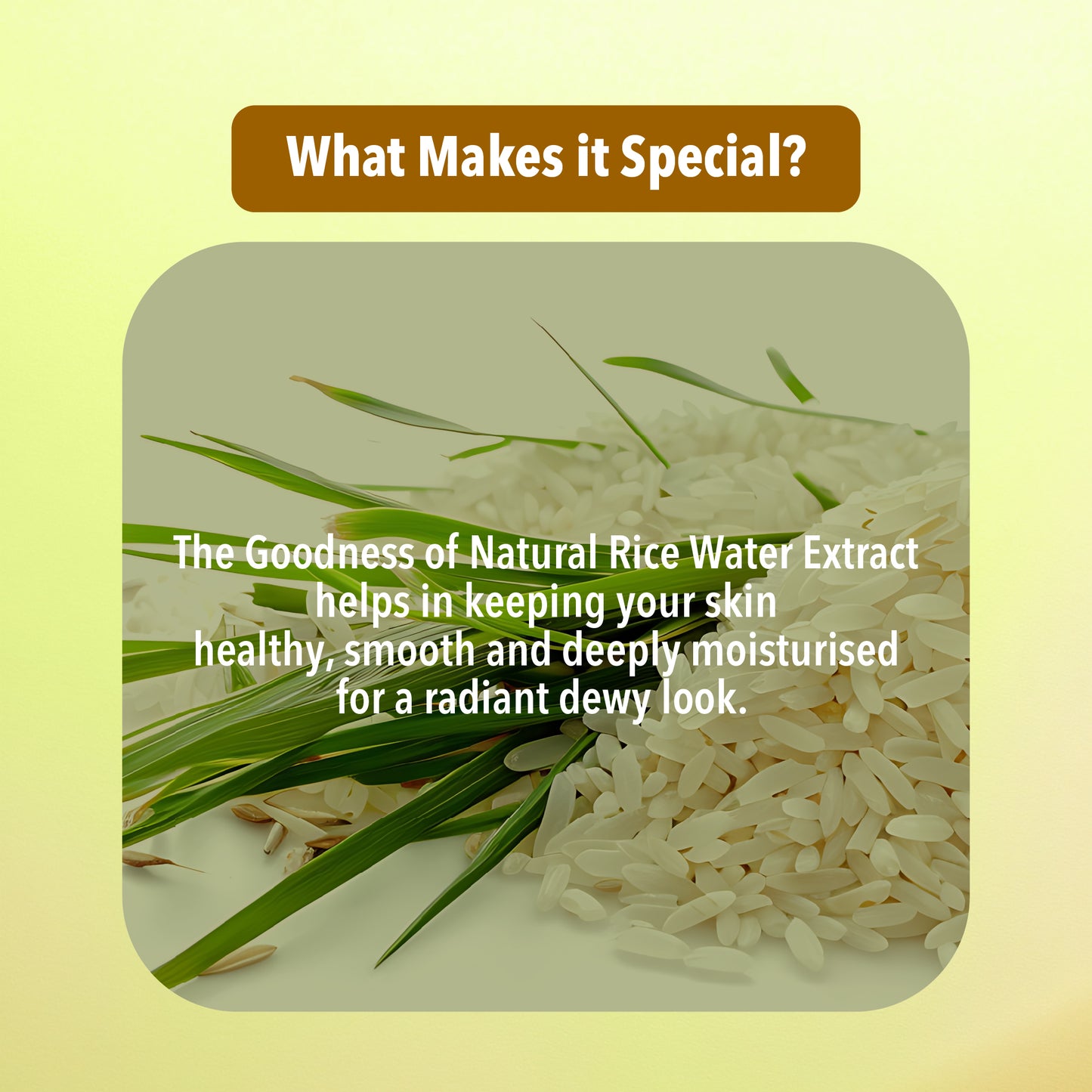 Rice Water Facial Pack of 4 ( Scrub, Gel, Cream & Facepack) - 1520 ml